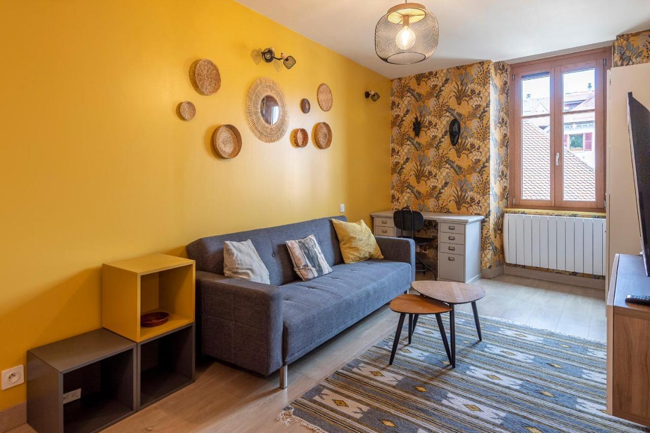Reflet Des Alpes Furnished Flat Appartement Annecy Buitenkant foto